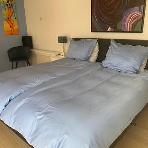 Deluxe Kamer met een Queen Size Bed